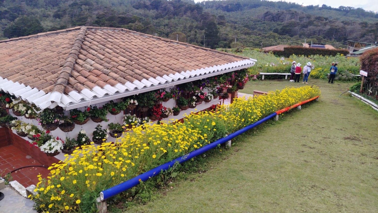 Finca El Porvenir rodeada de flores
